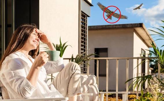 PASTA REPELENTE PARA PALOMAS